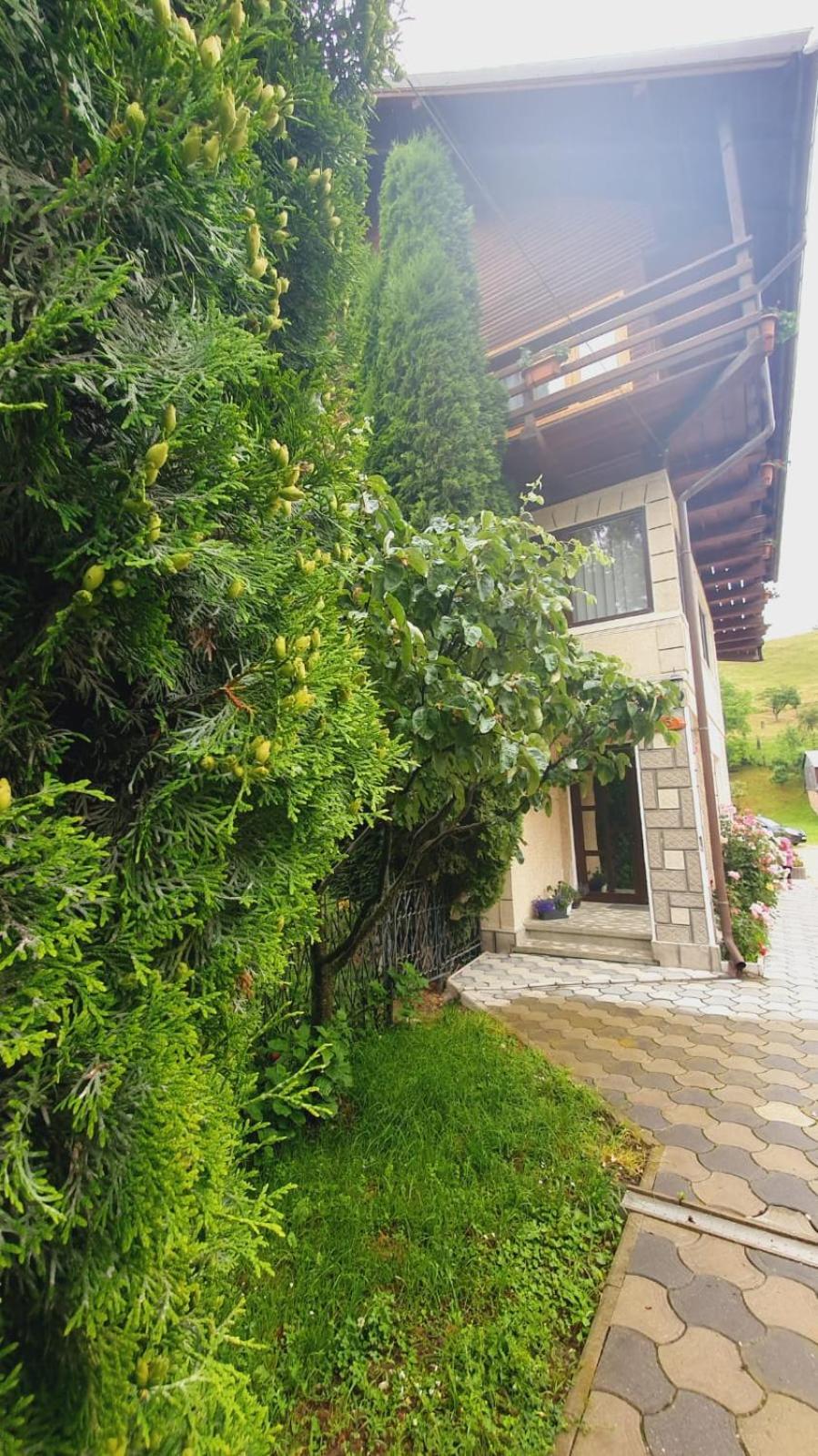 Pensiunea Belvedere Bran (Brasov) Exterior foto