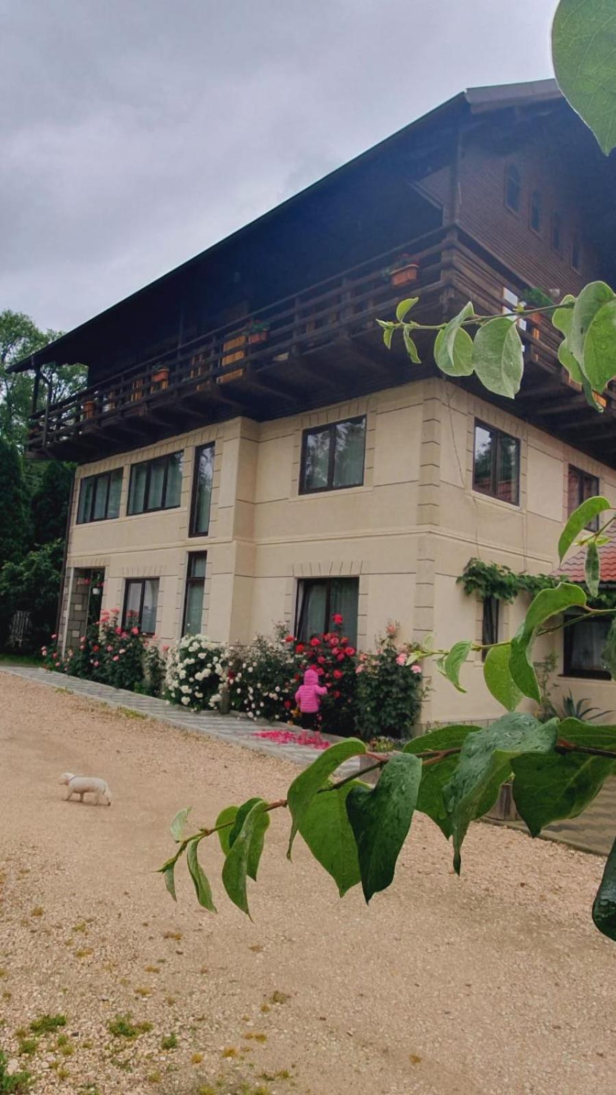 Pensiunea Belvedere Bran (Brasov) Exterior foto