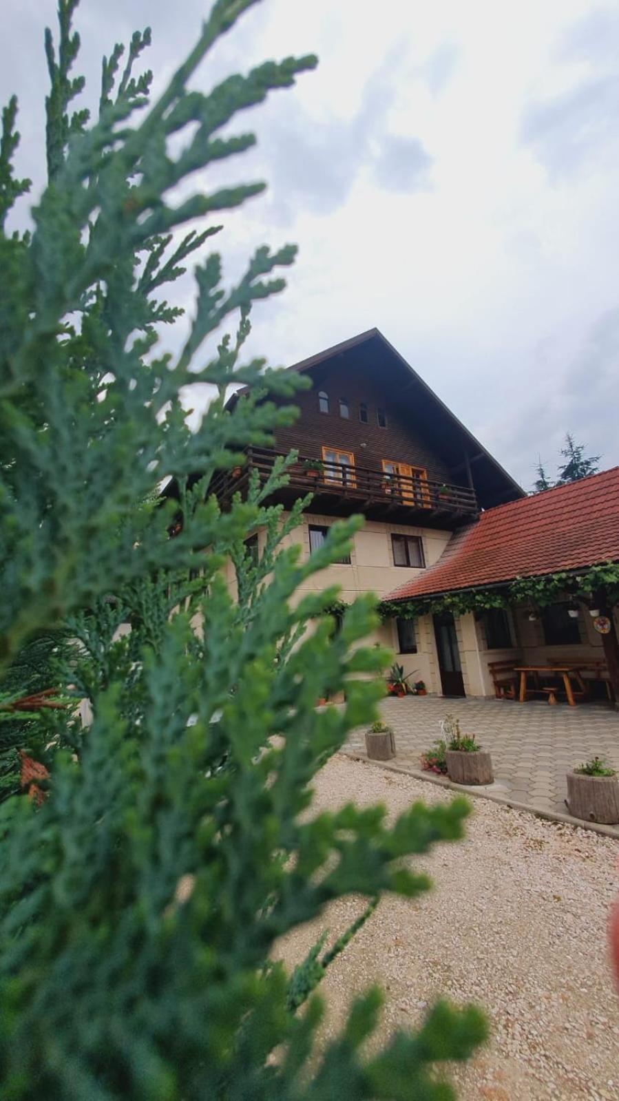 Pensiunea Belvedere Bran (Brasov) Exterior foto