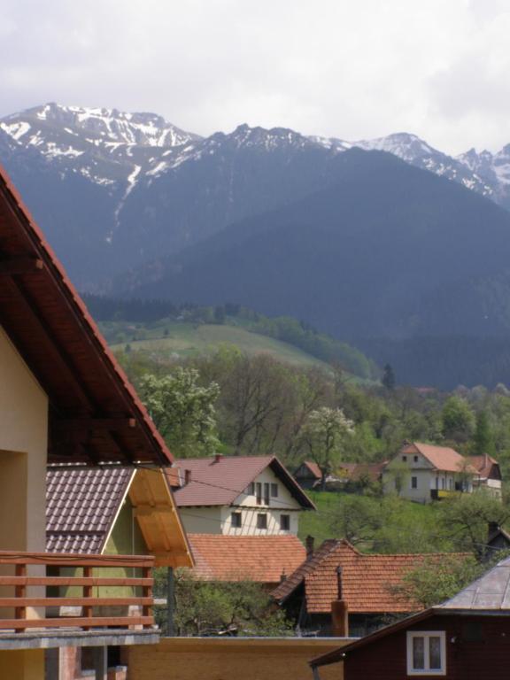 Pensiunea Belvedere Bran (Brasov) Exterior foto